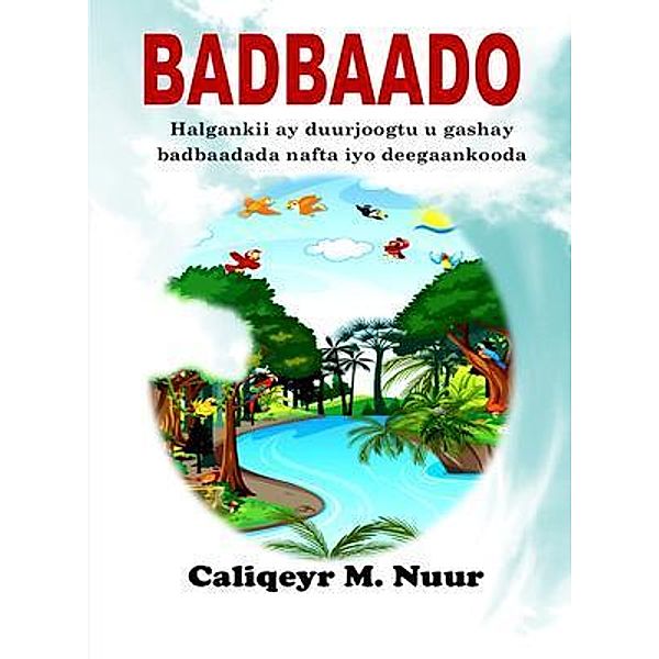 Babaado, Aliqeyr Nur