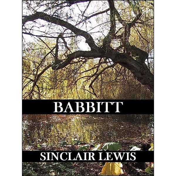 Babbitt (Reader's Edition) / Wildside Press, Sinclair Lewis