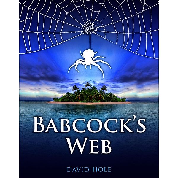 Babcock's Web / David Hole, David Hole