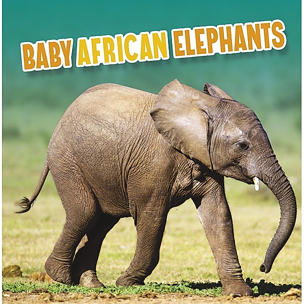 Baby African Elephants / Raintree Publishers, Martha E. H. Rustad