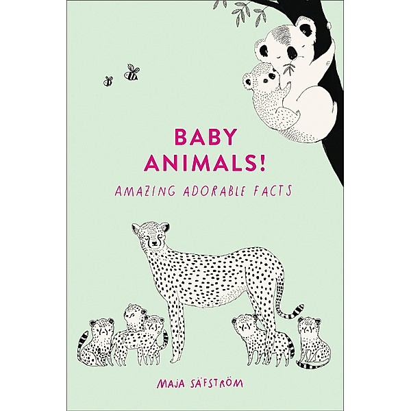 Baby Animals!, Maja Safstrom