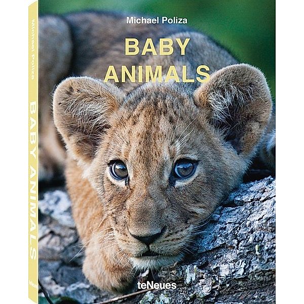 Baby Animals, Michael Poliza