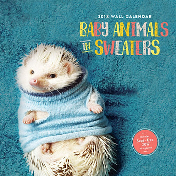 Baby Animals in Sweaters 2018