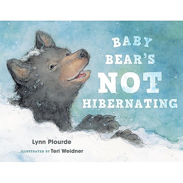 Baby Bear's Not Hibernating, Lynn Plourde