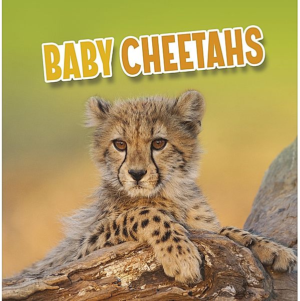 Baby Cheetahs / Raintree Publishers, Martha E. H. Rustad