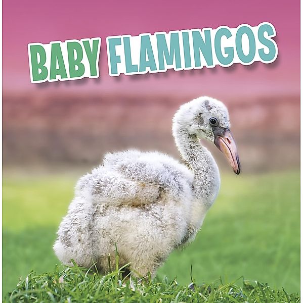 Baby Flamingos / Raintree Publishers, Martha E. H. Rustad