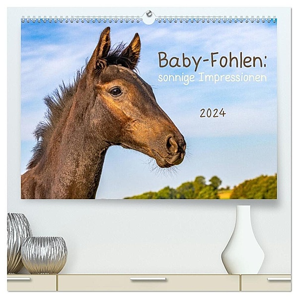 Baby-Fohlen: sonnige Impressionen (hochwertiger Premium Wandkalender 2024 DIN A2 quer), Kunstdruck in Hochglanz, Margret v Conta