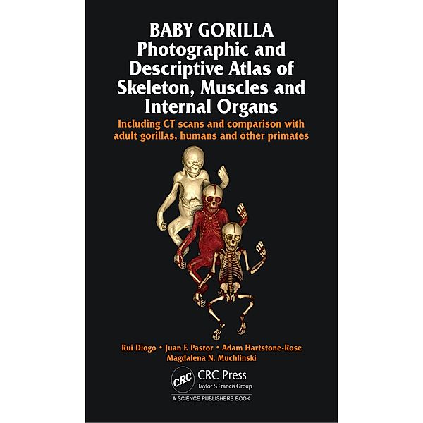 Baby Gorilla, Rui Diogo, Juan F. Pastor, Adam Hartstone-Rose, Magdalena N. Muchlinski