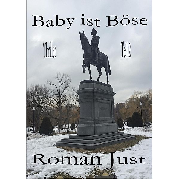 Baby ist Böse - Tatort Boston, Roman Just