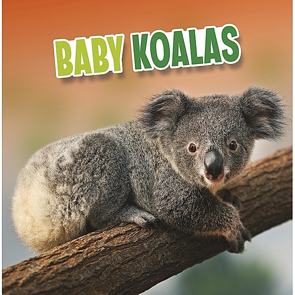 Baby Koalas / Raintree Publishers, Martha E. H. Rustad