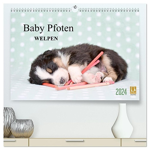 Baby Pfoten (hochwertiger Premium Wandkalender 2024 DIN A2 quer), Kunstdruck in Hochglanz, Natalie Eckelt
