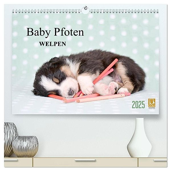 Baby Pfoten (hochwertiger Premium Wandkalender 2025 DIN A2 quer), Kunstdruck in Hochglanz, Calvendo, Natalie Eckelt