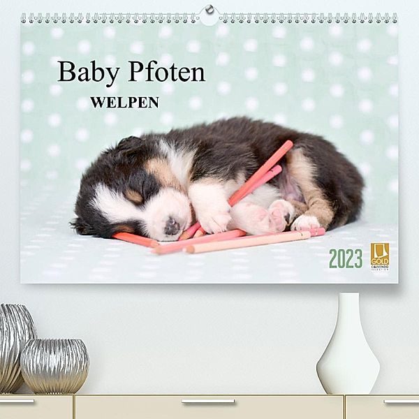 Baby Pfoten (Premium, hochwertiger DIN A2 Wandkalender 2023, Kunstdruck in Hochglanz), Natalie Eckelt