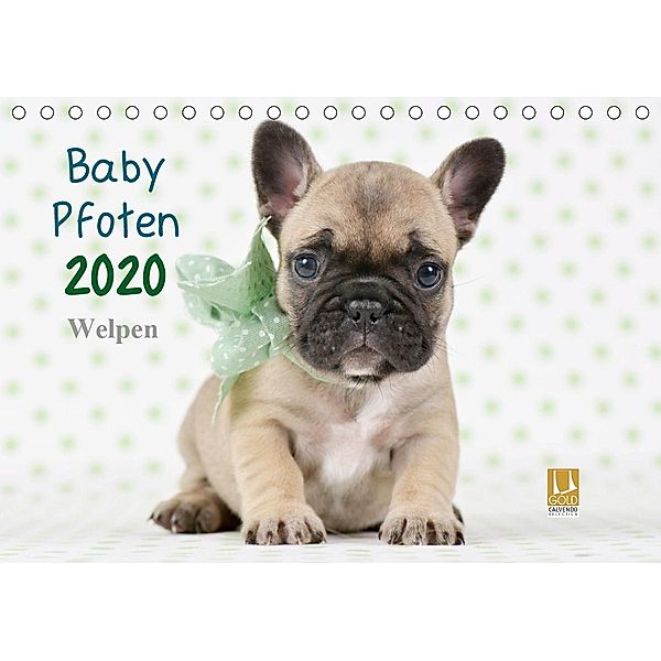 Baby Pfoten (Tischkalender 2020 DIN A5 quer), Natalie Eckelt