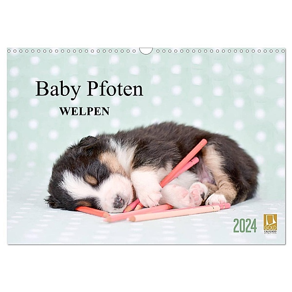 Baby Pfoten (Wandkalender 2024 DIN A3 quer), CALVENDO Monatskalender, Natalie Eckelt