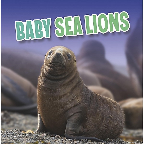 Baby Sea Lions / Raintree Publishers, Martha E. H. Rustad