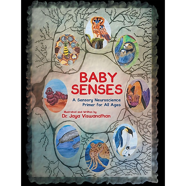 Baby Senses, Jaya Viswanathan