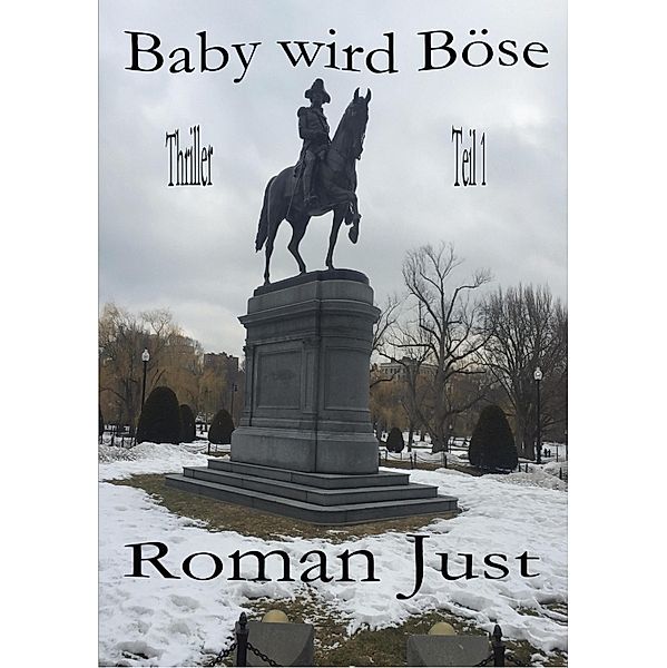 Baby wird Böse - Tatort Boston, Roman Just