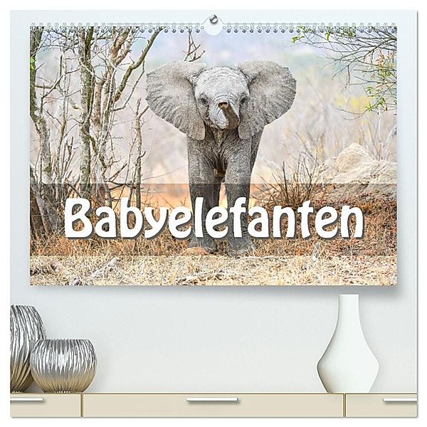 Babyelefanten (hochwertiger Premium Wandkalender 2024 DIN A2 quer), Kunstdruck in Hochglanz, Robert Styppa