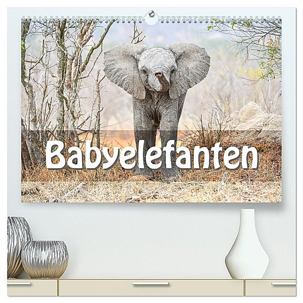 Babyelefanten (hochwertiger Premium Wandkalender 2025 DIN A2 quer), Kunstdruck in Hochglanz, Calvendo, Robert Styppa
