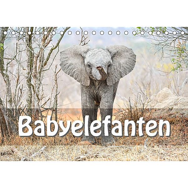 Babyelefanten (Tischkalender 2023 DIN A5 quer), Robert Styppa