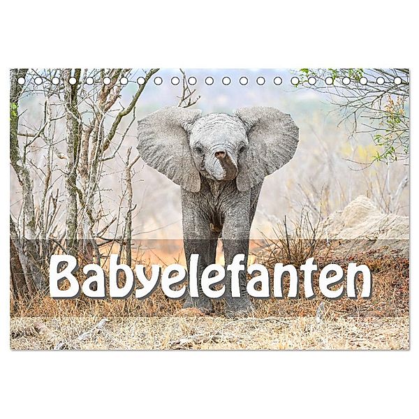 Babyelefanten (Tischkalender 2025 DIN A5 quer), CALVENDO Monatskalender, Calvendo, Robert Styppa