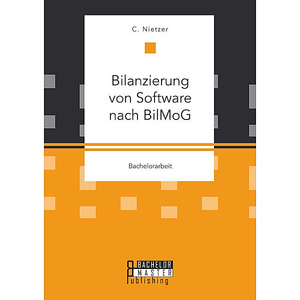 Bachelorarbeit / Bilanzierung von Software nach BilMoG, C. Nietzer