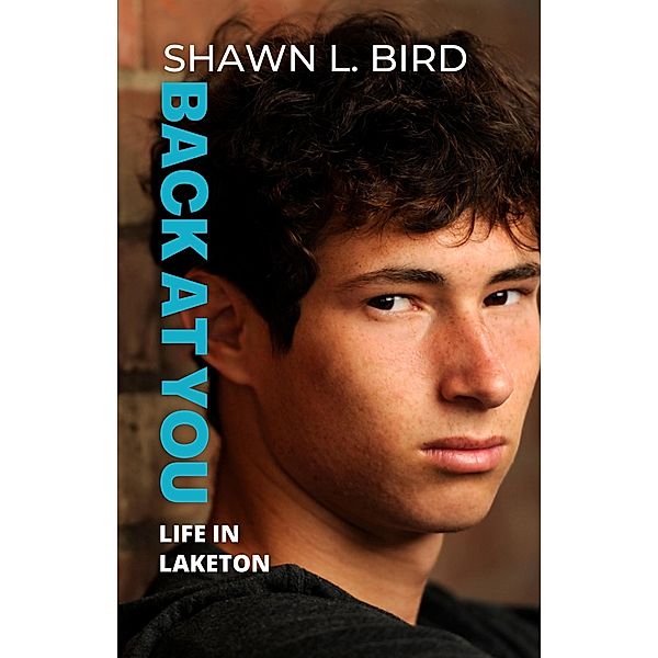 Back at You (Life in Laketon, #1) / Life in Laketon, Shawn L. Bird