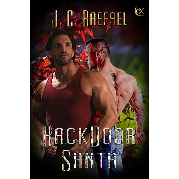 Backdoor Santa (Country Boy, #1) / Country Boy, J. C. Raefael