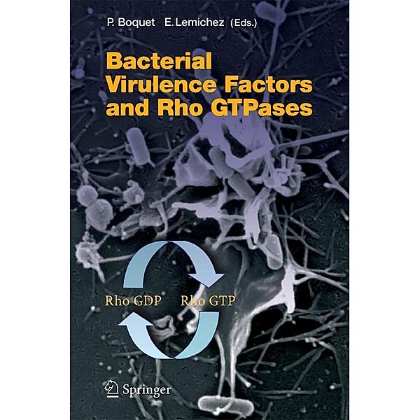 Bacterial Virulence Factors and Rho GTPases / Current Topics in Microbiology and Immunology Bd.291