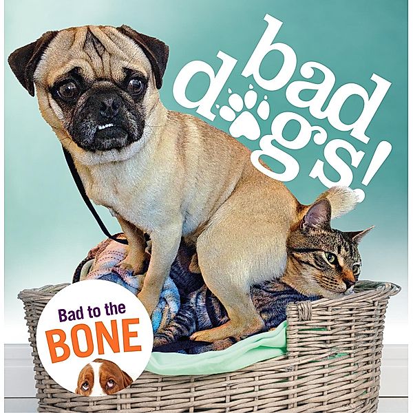 Bad Dogs, No Author Details