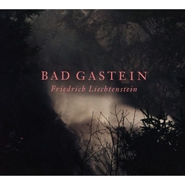 Bad Gastein, Friedrich Liechtenstein