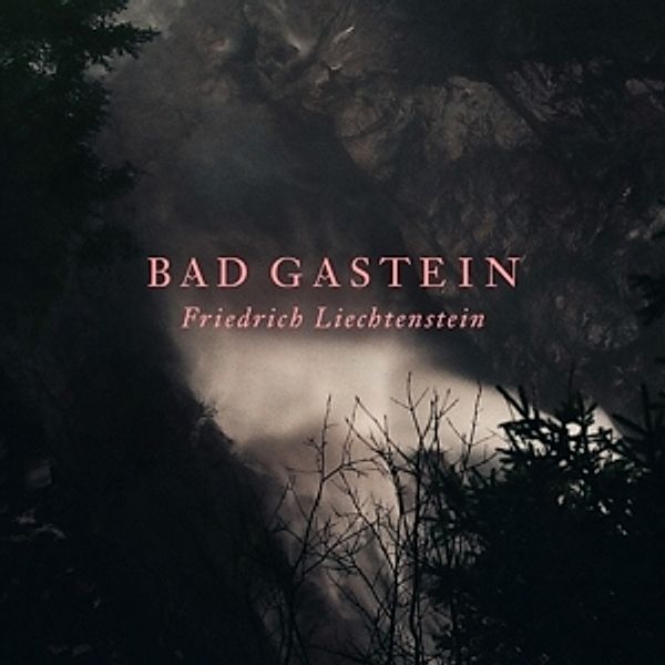 Bad Gastein (Lp+Cd) (Vinyl), Friedrich Liechtenstein