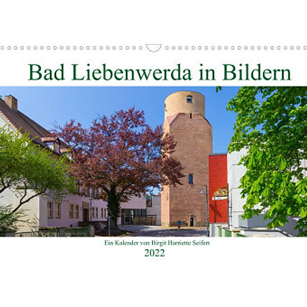 Bad Liebenwerda in Bildern (Wandkalender 2022 DIN A3 quer), Birgit Harriette Seifert