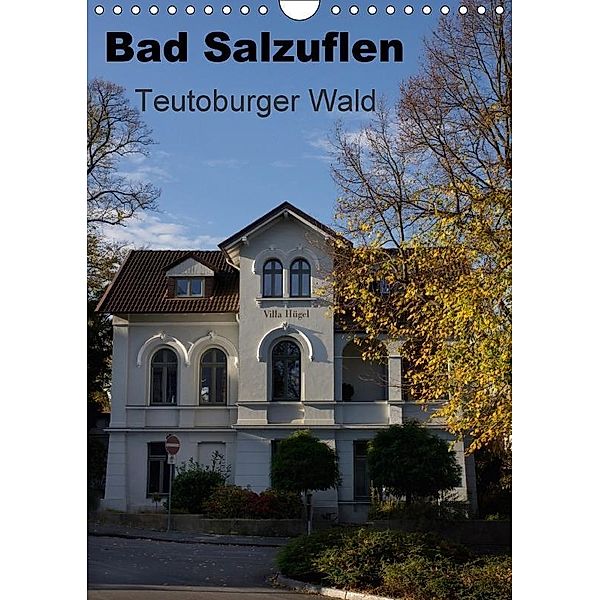 Bad Salzuflen - Teutoburger Wald (Wandkalender 2017 DIN A4 hoch), Martin Peitz