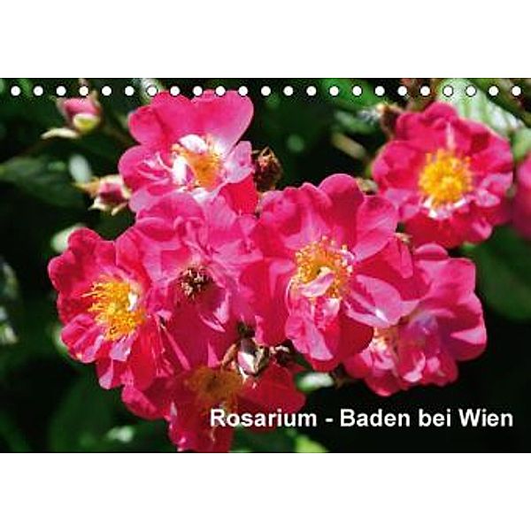 Baden bei Wien - Rosarium (Tischkalender 2016 DIN A5 quer), Rudolf J. Strutz