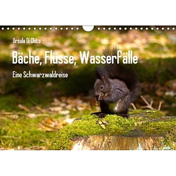 Bäche, Flüsse, Wasserfälle - Eine Schwarzwaldreise (Wandkalender 2017 DIN A4 quer), Ursula Di Chito