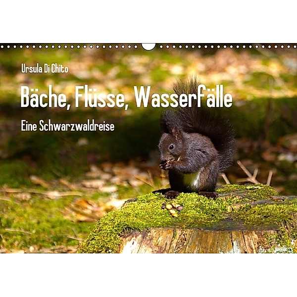 Bäche, Flüsse, Wasserfälle - Eine Schwarzwaldreise (Wandkalender 2018 DIN A3 quer), Ursula Di Chito