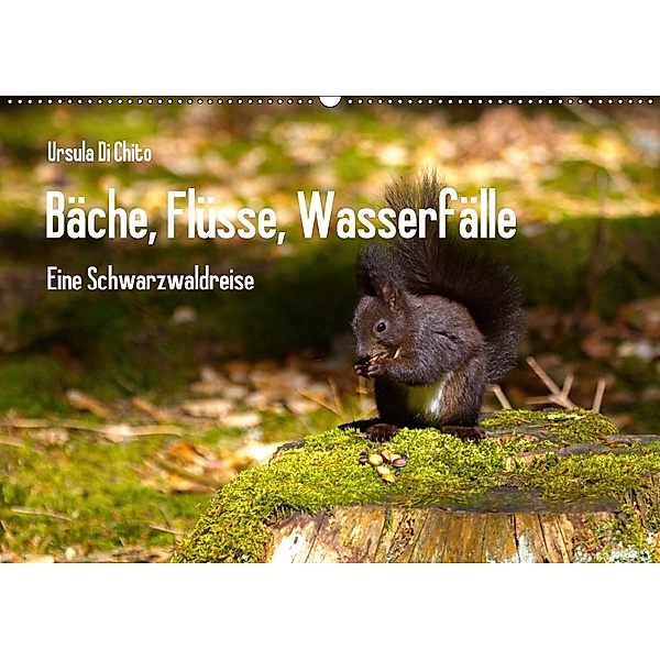 Bäche, Flüsse, Wasserfälle - Eine Schwarzwaldreise (Wandkalender 2018 DIN A2 quer), Ursula Di Chito