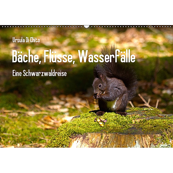 Bäche, Flüsse, Wasserfälle - Eine Schwarzwaldreise (Wandkalender 2019 DIN A2 quer), Ursula Di Chito