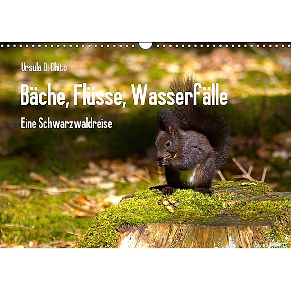 Bäche, Flüsse, Wasserfälle - Eine Schwarzwaldreise (Wandkalender 2020 DIN A3 quer), Ursula Di Chito
