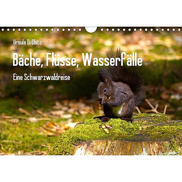 Bäche, Flüsse, Wasserfälle - Eine Schwarzwaldreise (Wandkalender 2021 DIN A4 quer), Ursula Di Chito