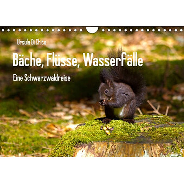 Bäche, Flüsse, Wasserfälle - Eine Schwarzwaldreise (Wandkalender 2022 DIN A4 quer), Ursula Di Chito