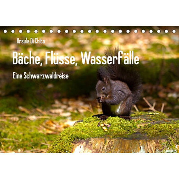Bäche, Flüsse, Wasserfälle - Eine Schwarzwaldreise (Tischkalender 2022 DIN A5 quer), Ursula Di Chito