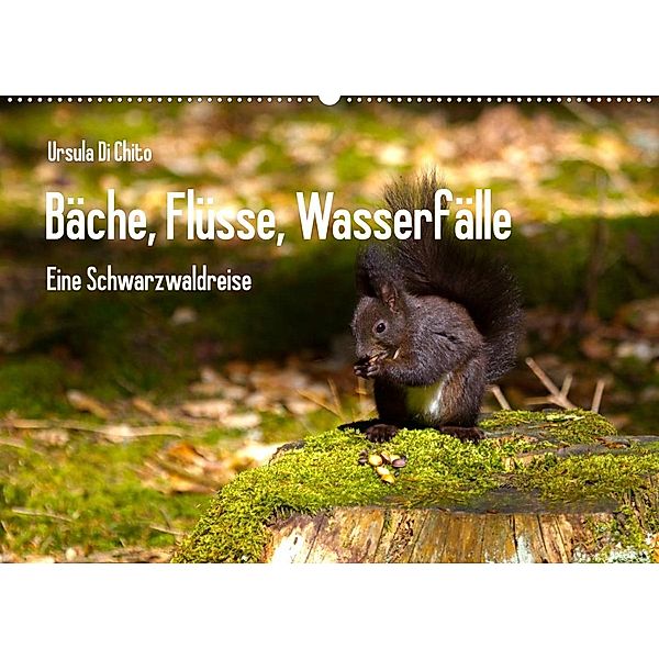 Bäche, Flüsse, Wasserfälle - Eine Schwarzwaldreise (Wandkalender 2023 DIN A2 quer), Ursula Di Chito