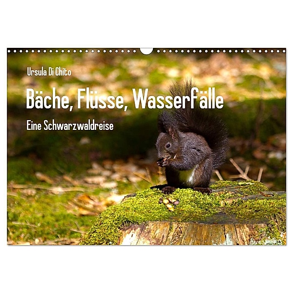 Bäche, Flüsse, Wasserfälle - Eine Schwarzwaldreise (Wandkalender 2024 DIN A3 quer), CALVENDO Monatskalender, Ursula Di Chito