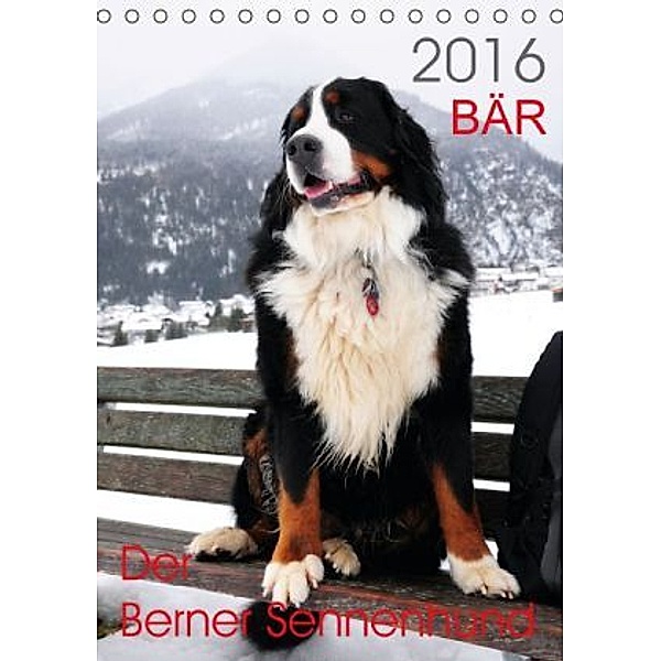 BÄR - Der Berner Sennenhund (Tischkalender 2016 DIN A5 hoch), Sonja Brenner