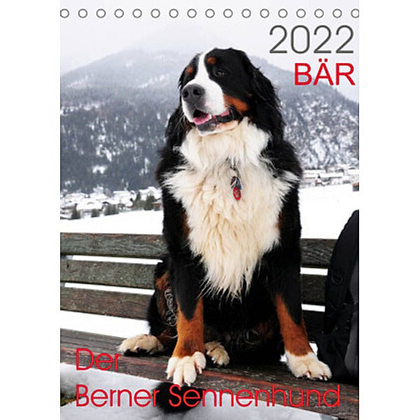 BÄR - Der Berner Sennenhund (Tischkalender 2022 DIN A5 hoch), Sonja Brenner