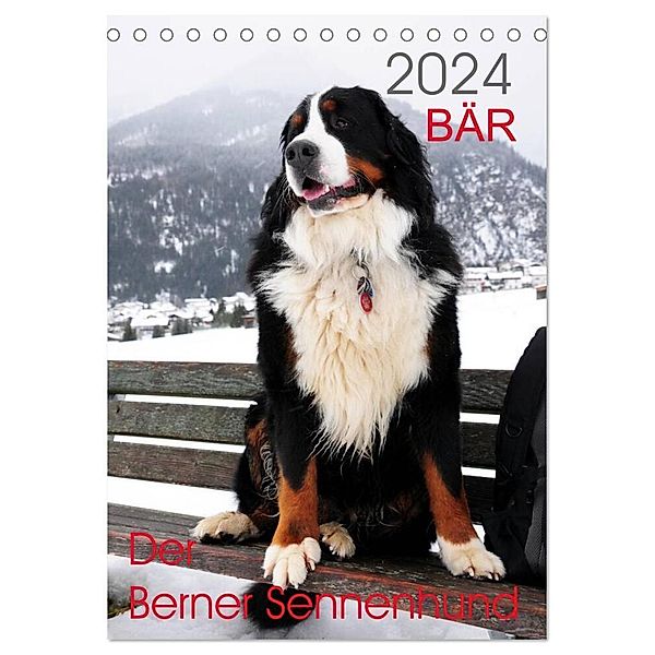 BÄR - Der Berner Sennenhund (Tischkalender 2024 DIN A5 hoch), CALVENDO Monatskalender, Sonja Brenner