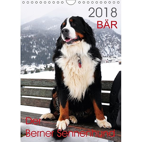 BÄR - Der Berner Sennenhund (Wandkalender 2018 DIN A4 hoch) Dieser erfolgreiche Kalender wurde dieses Jahr mit gleichen, Sonja Brenner